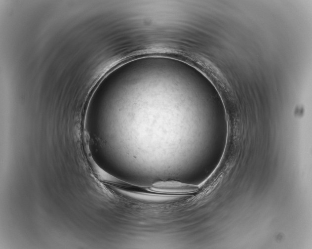 X0000099421177200805161038