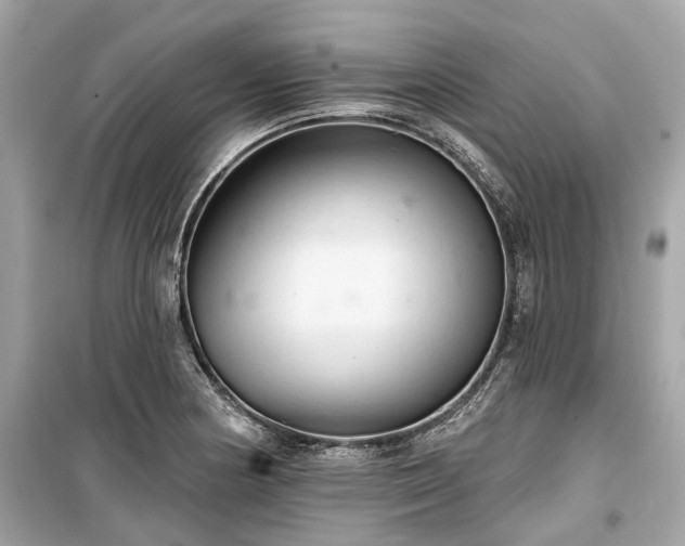 X0000099421178200805161038