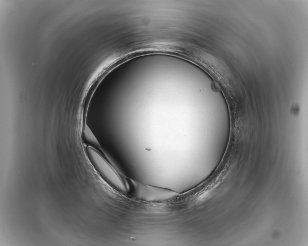 X0000099421180200805161038