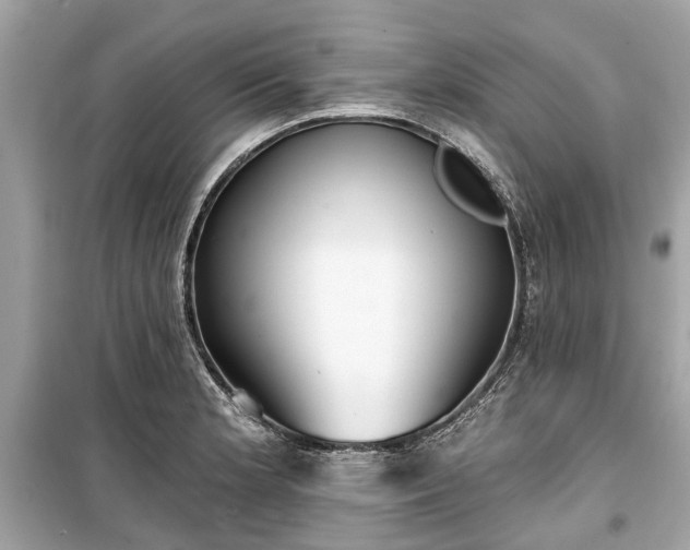 X0000099421181200805161038