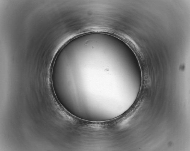 X0000099421182200805161038