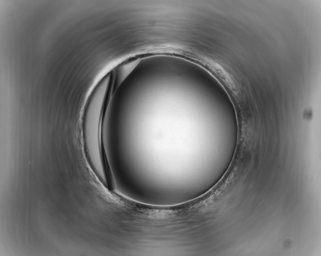 X0000099421184200805161038