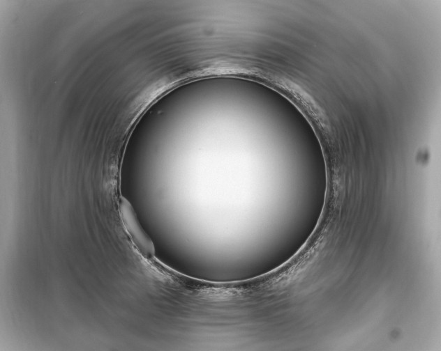X0000099421185200805161038