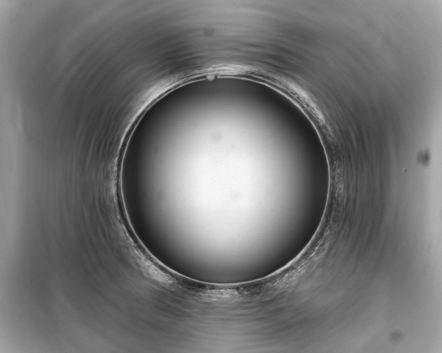 X0000099421186200805161038