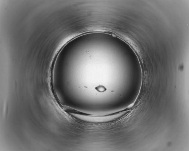 X0000099421187200805161038