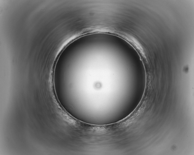 X0000099421190200805161038