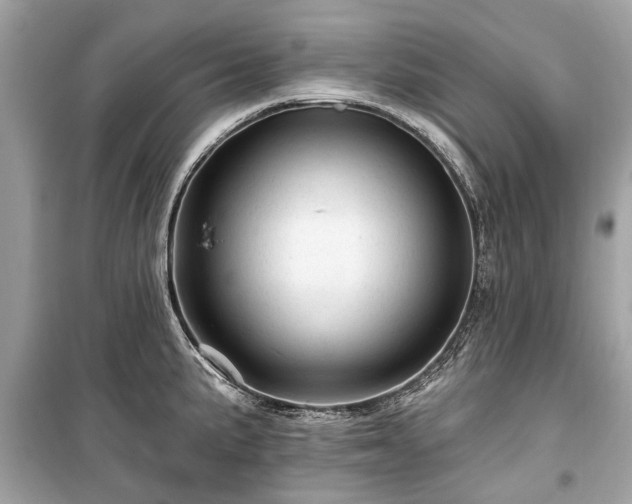 X0000099421191200805161038