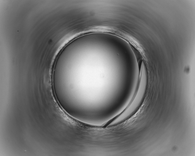 X0000099421192200805161038