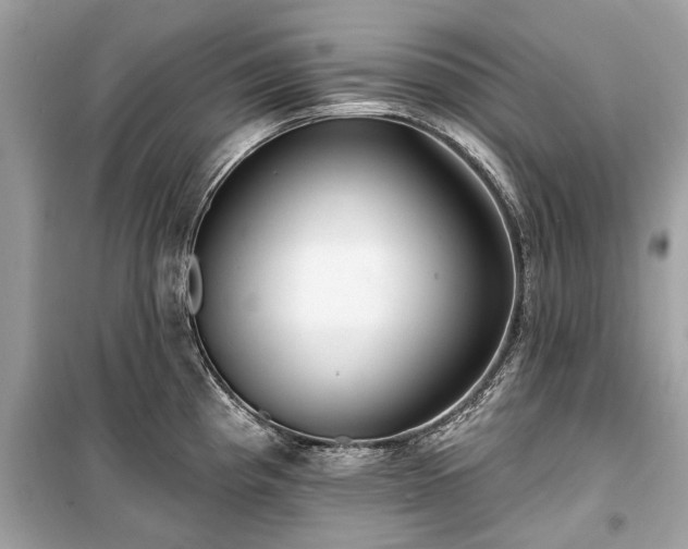 X0000099421193200805161038