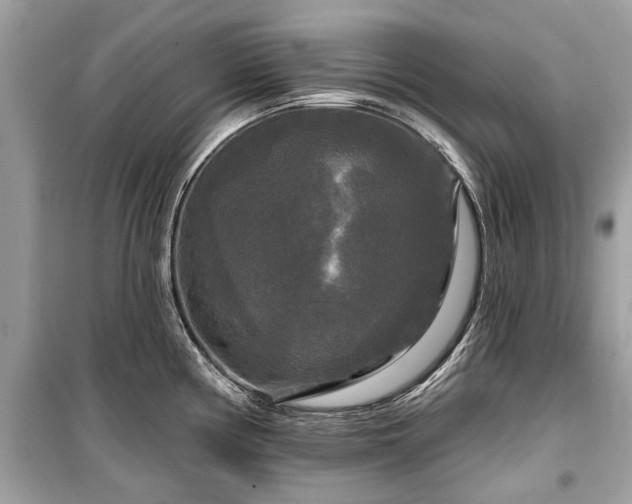 X0000099421194200805161038