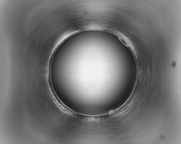 X0000099421195200805161038