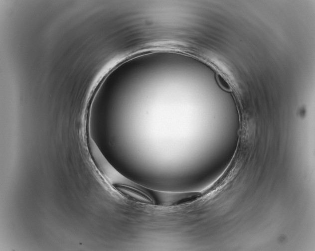 X0000099421196200805161038