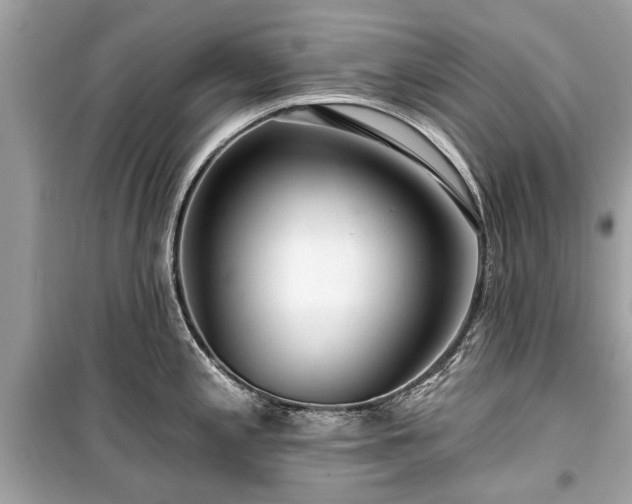 X0000099421197200805161038