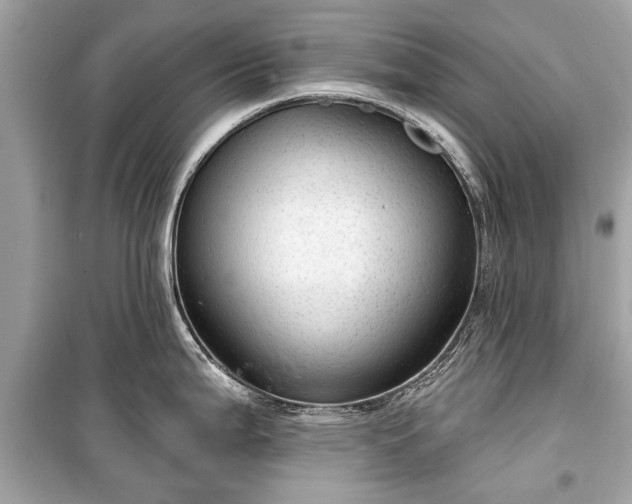 X0000099421199200805161038