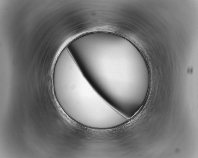 X0000099421200200805161038