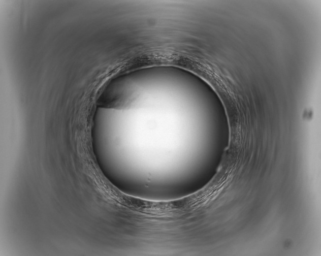 X0000099421201200805161037