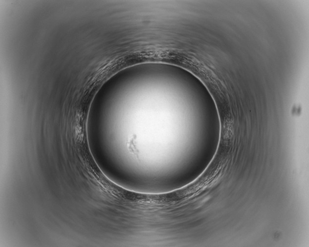 X0000099421202200805161037