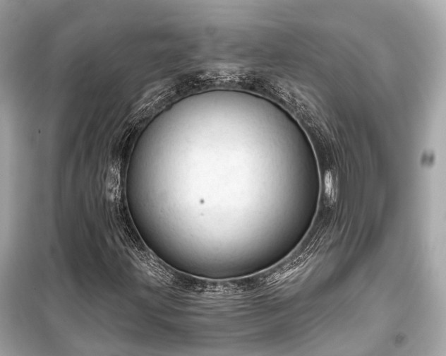 X0000099421203200805161037