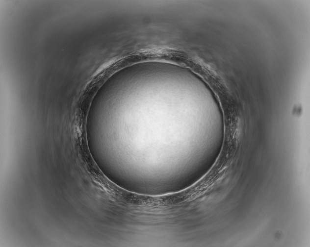 X0000099421206200805161037