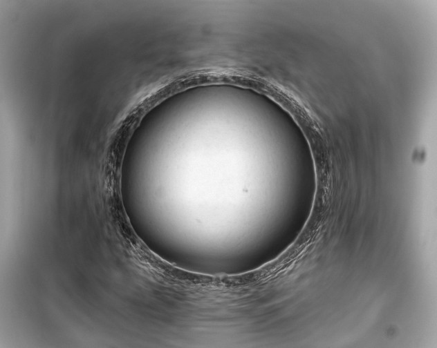 X0000099421207200805161037