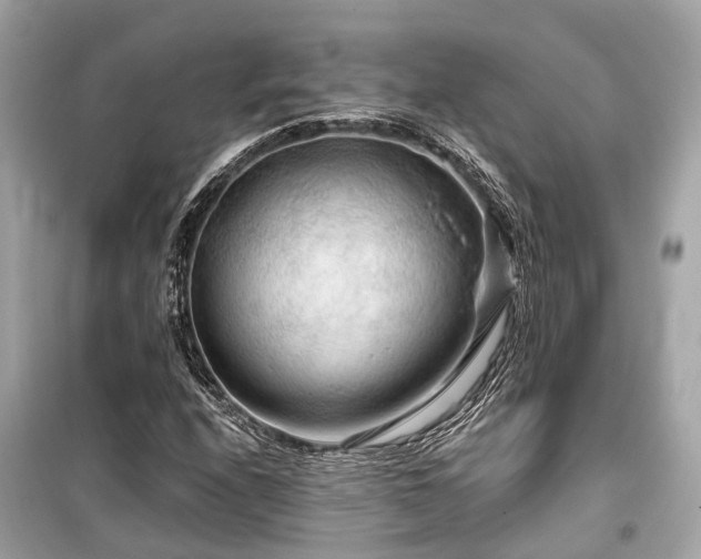 X0000099421208200805161037