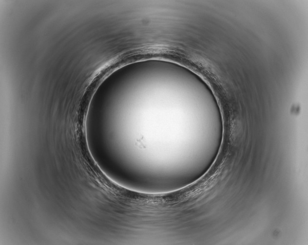 X0000099421210200805161038
