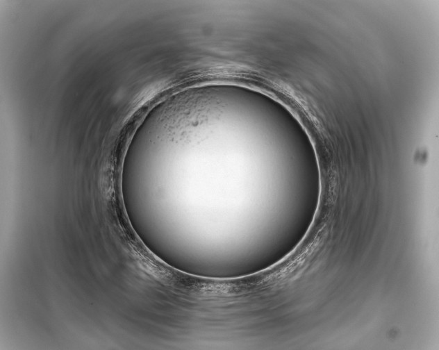 X0000099421211200805161038