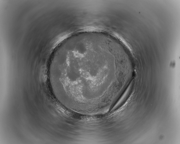 X0000099421213200805161038