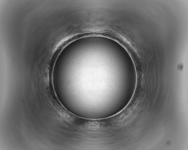 X0000099421214200805161038