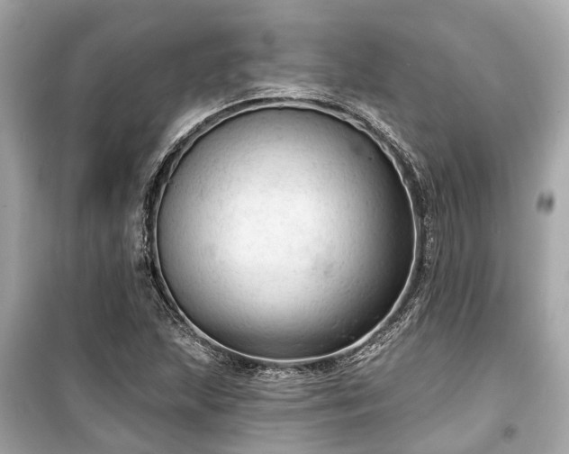 X0000099421215200805161038