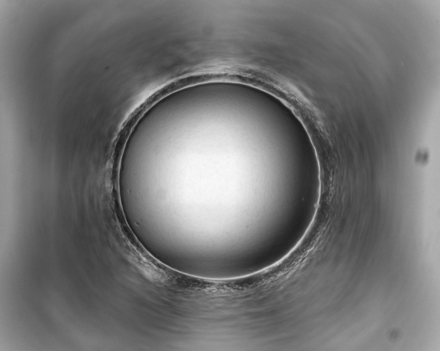 X0000099421216200805161038