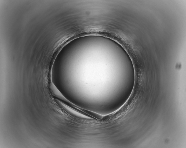 X0000099421217200805161038