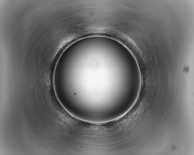 X0000099421218200805161038