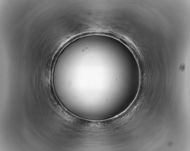 X0000099421220200805161038
