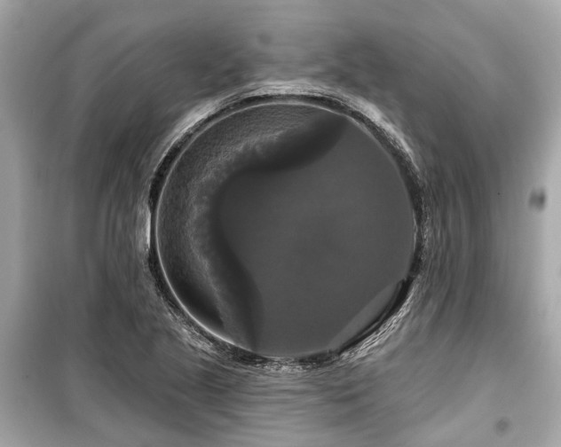 X0000099421221200805161038