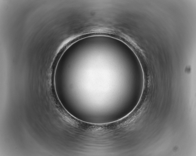 X0000099421222200805161038
