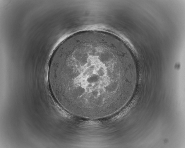 X0000099421224200805161038