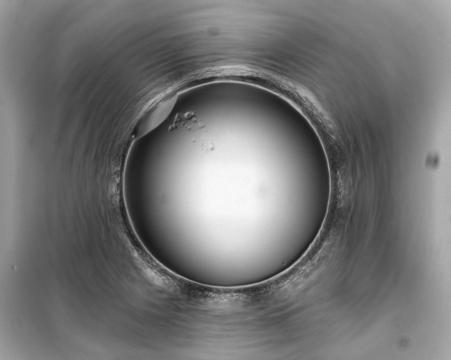 X0000099421225200805161038