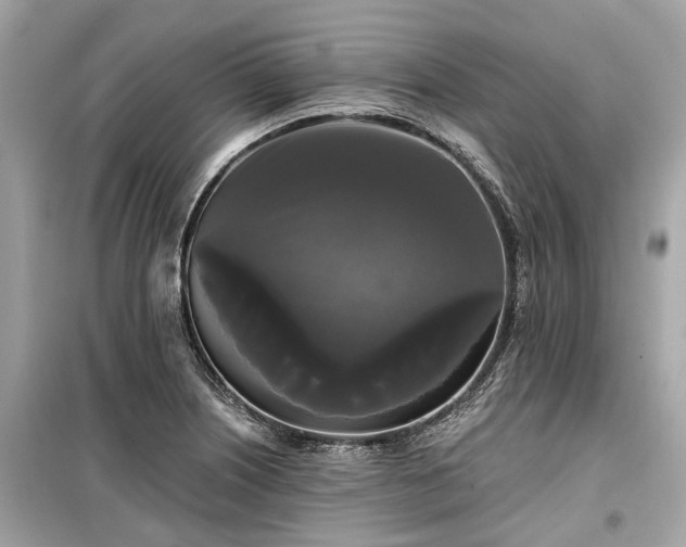 X0000099421226200805161038