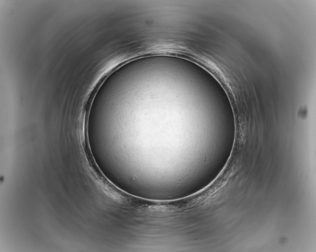 X0000099421227200805161038