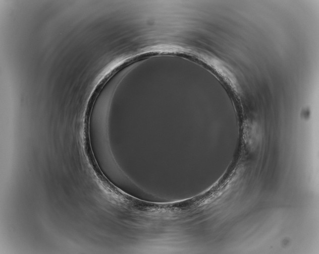 X0000099421229200805161038