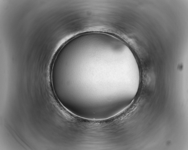 X0000099421230200805161038