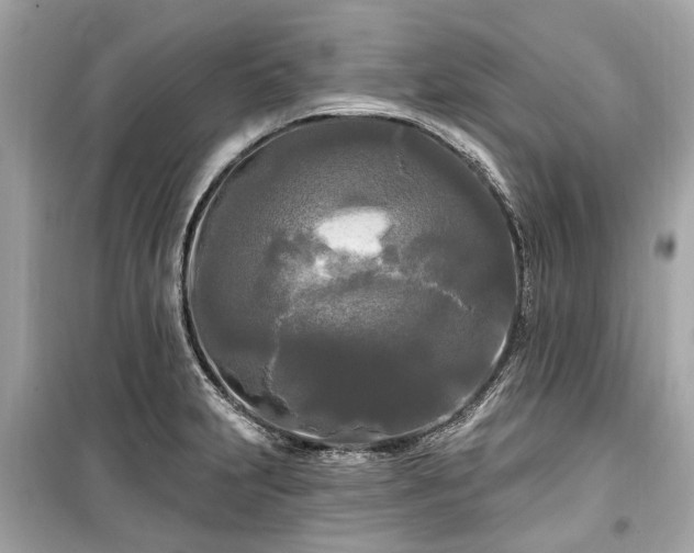 X0000099421231200805161038