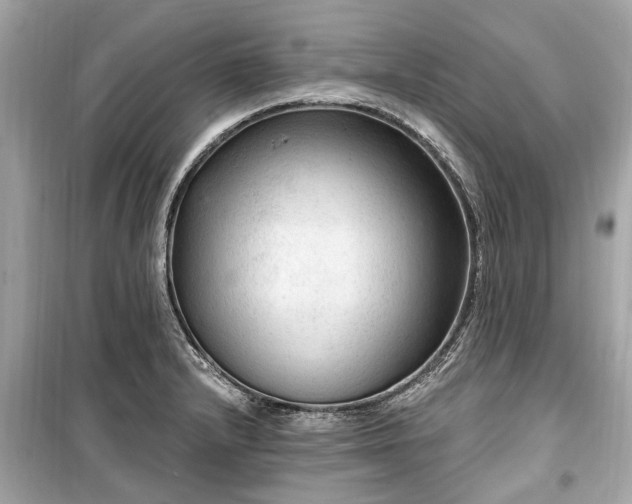X0000099421232200805161038
