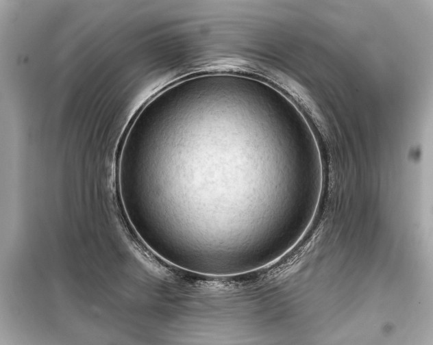 X0000099421234200805161038
