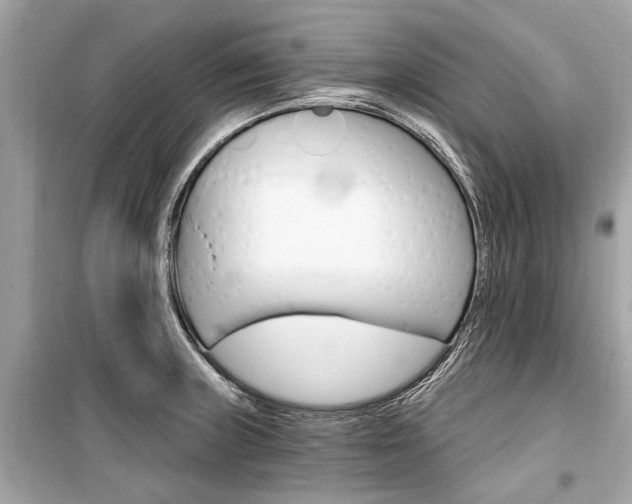 X0000099421235200805161038