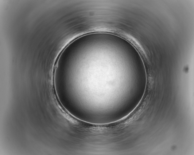 X0000099421236200805161038
