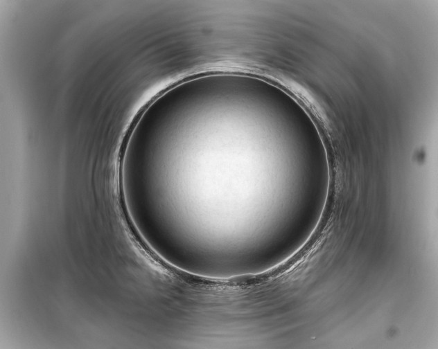 X0000099421238200805161038