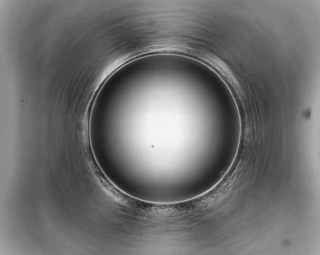 X0000099421242200805161038