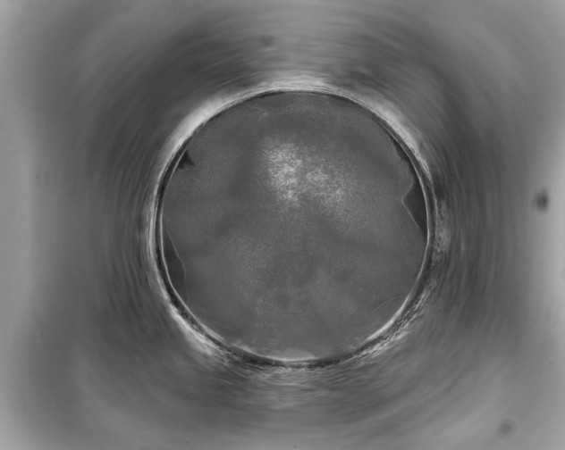 X0000099421245200805161038